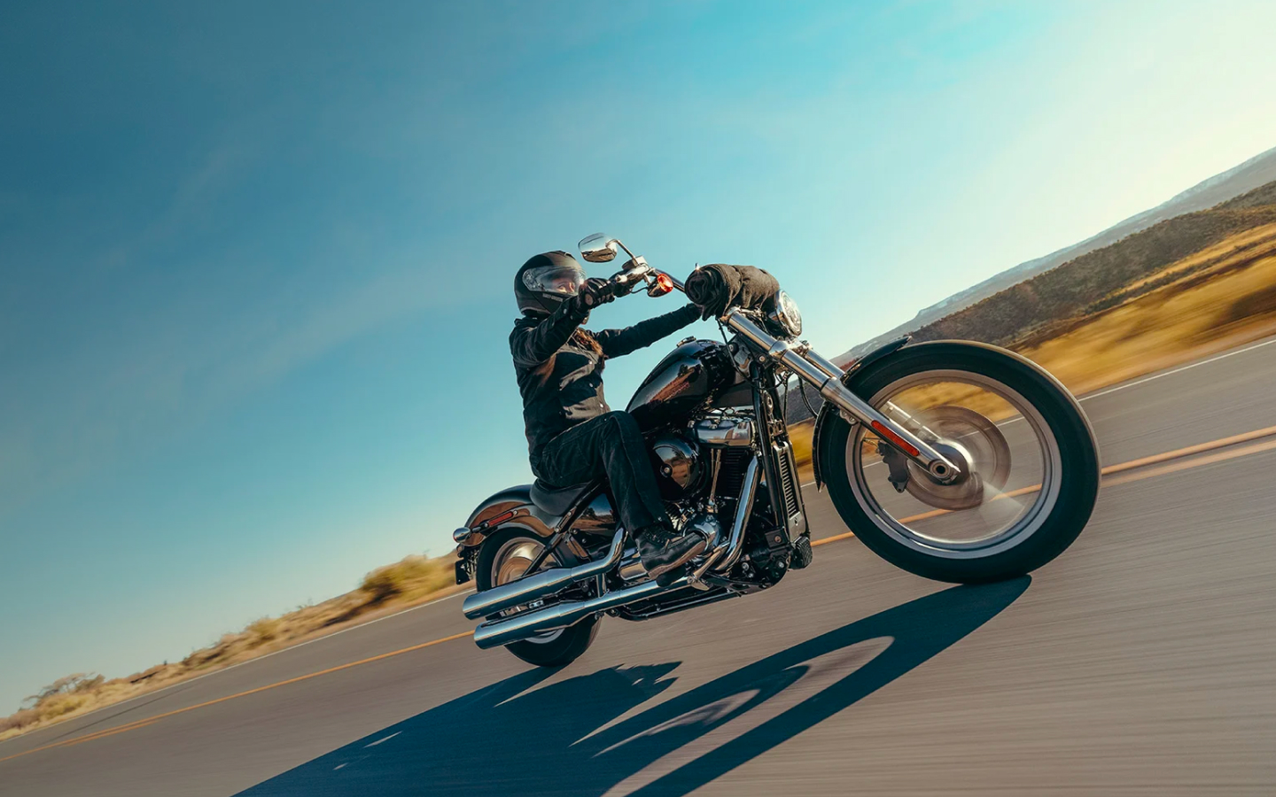 Harley Davidson 2024 Softail™ Standard banner