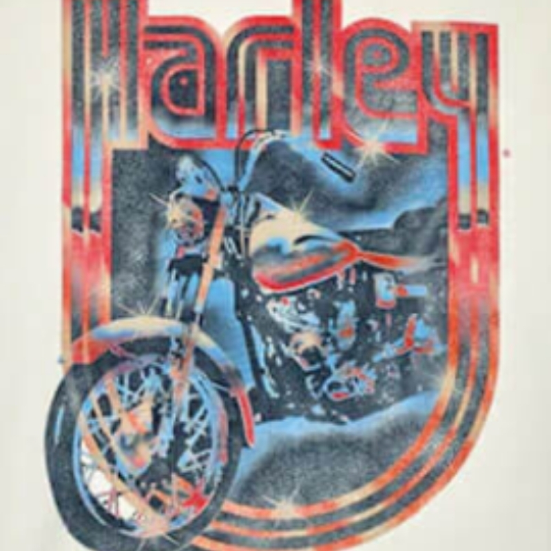 Women's Retro Bike Graphic Tee