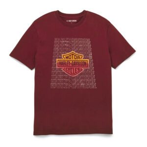 Harley Davidson Men's Infield Tee