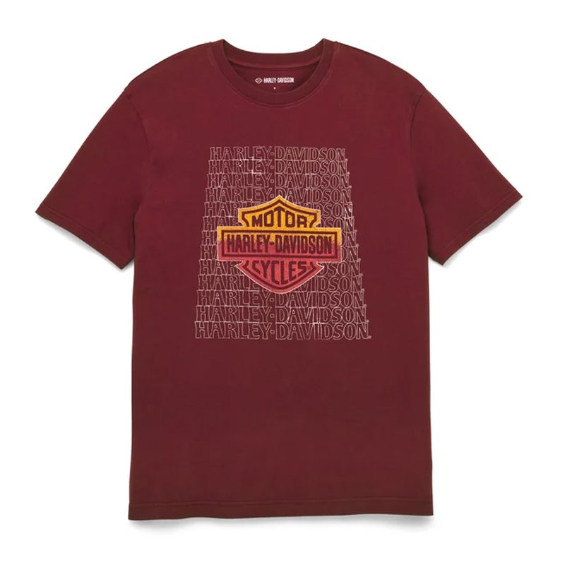 Harley Davidson Men's Infield Tee
