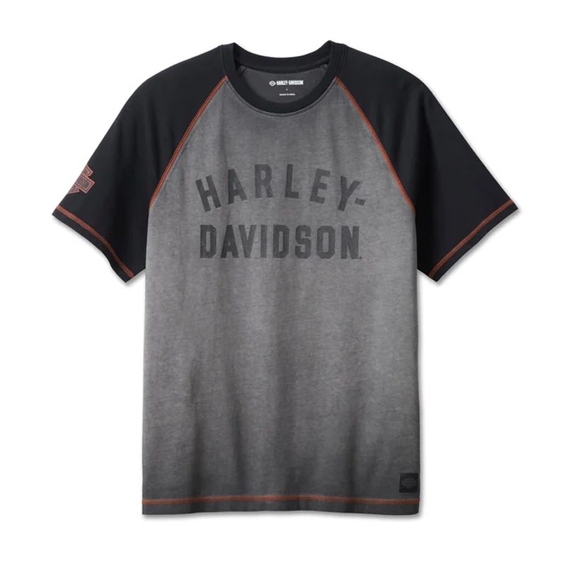 Men's Iron Bond Raglan Tee