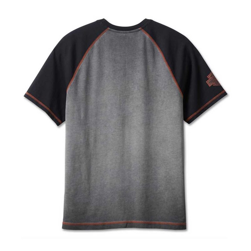 Men's Iron Bond Raglan Tee
