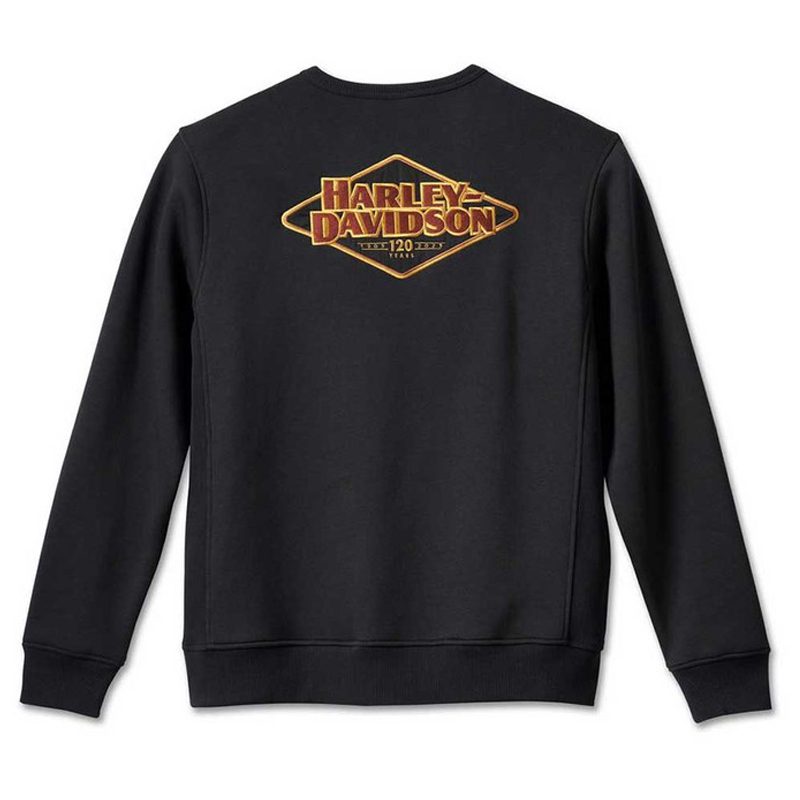 Men's 120th Anniversary Sweatshirt - Black Beauty