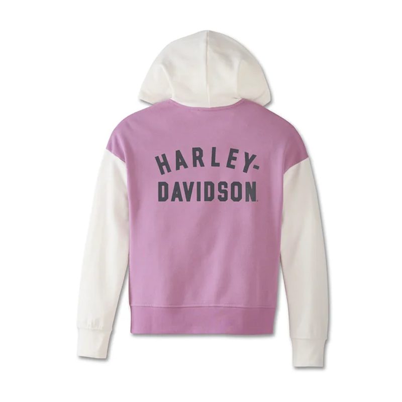 Women's Special Racer Front Zip Front Hoodie - Colorblocked - Lavender Herb