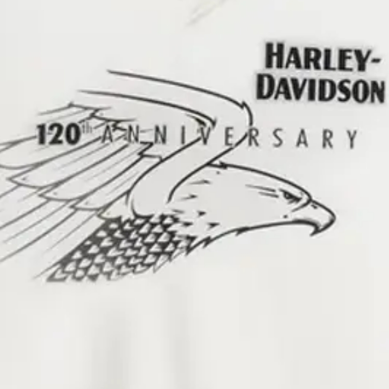 Women’s 120th Anniversary United V-Neck Tee