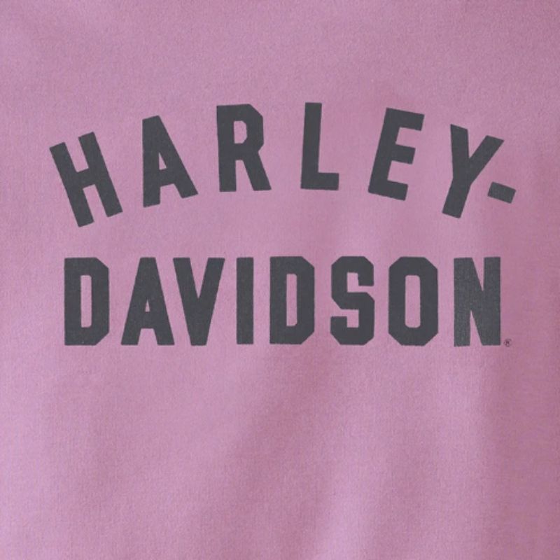 Women's Special Racer Front Zip Front Hoodie - Colorblocked - Lavender Herb