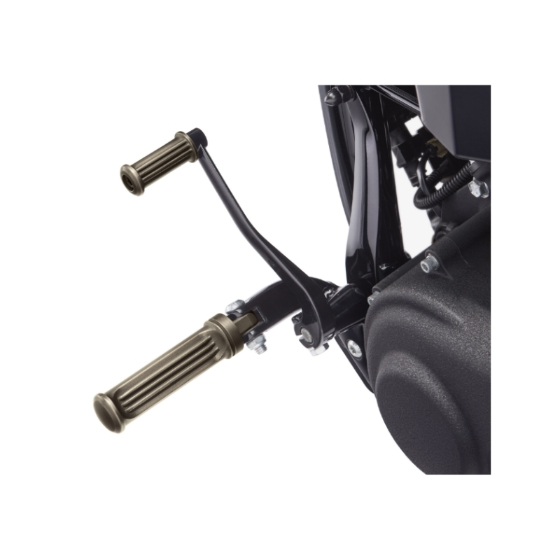 Brass Shifter Peg