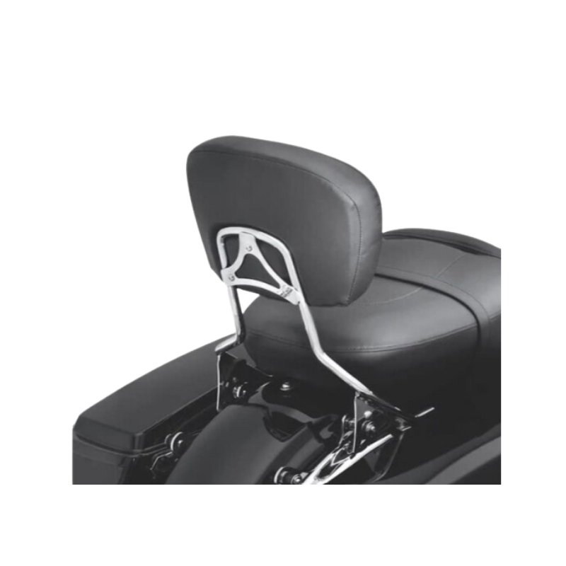Detachables Sissy Bar Upright