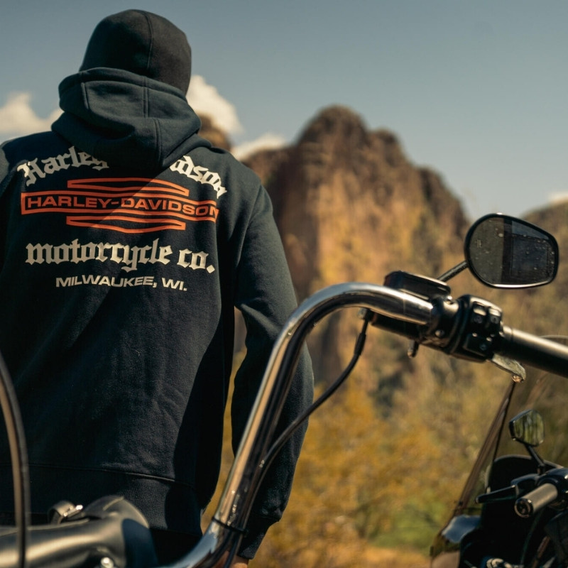 Roaring Balaclava Hoodie