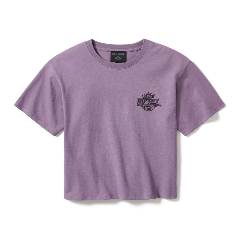 In the Wind Rider Sketch Art Boxy Tee