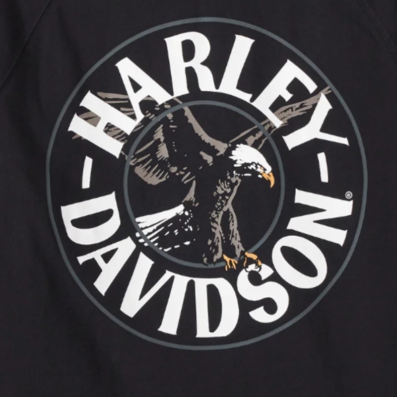 Men's Spirit of Freedom Reversible Hoodie