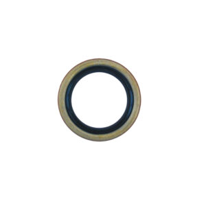 Oil Seal