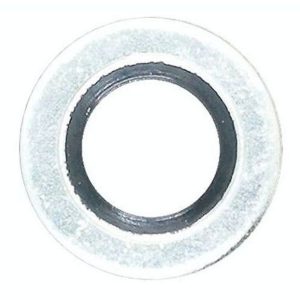 Oil Seal