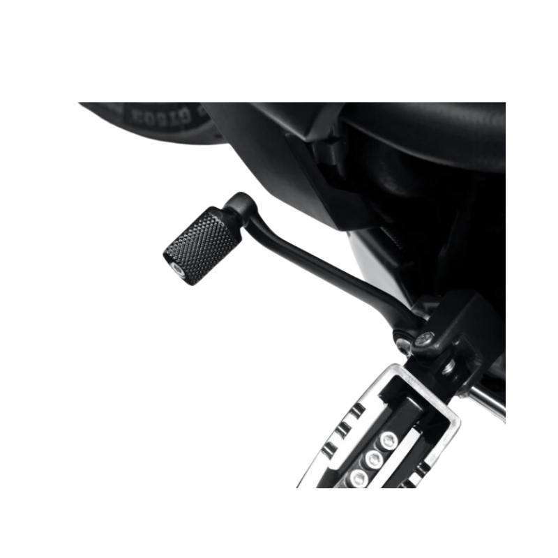 Wild One Shifter Peg