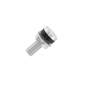 Valve Stem