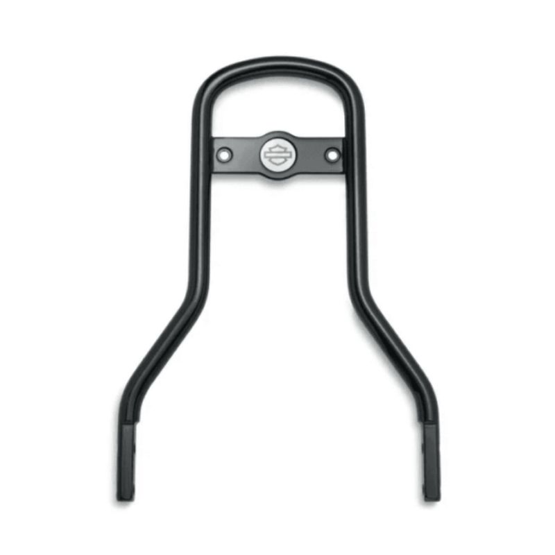 Standard Mini-Medallion Style Sissy Bar Upright