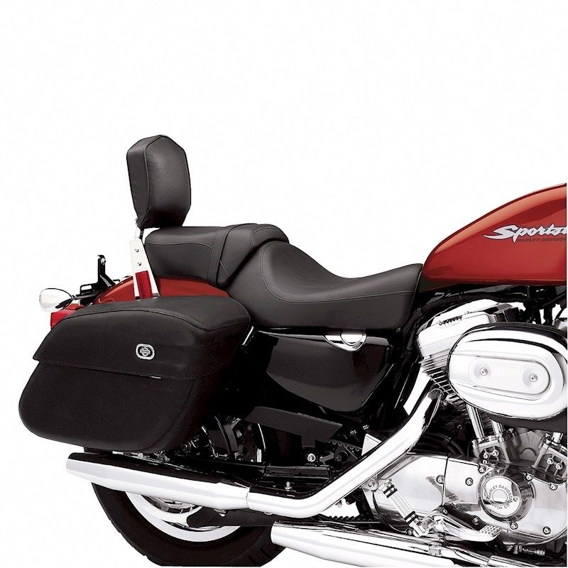 Passenger Pillion
