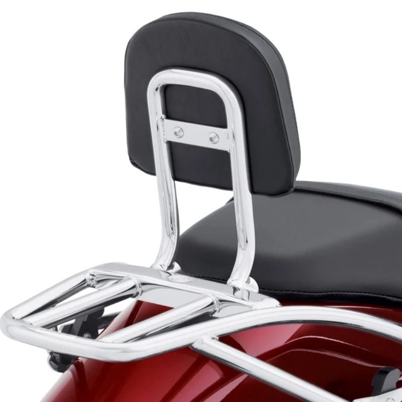 Sissy Bar Upright