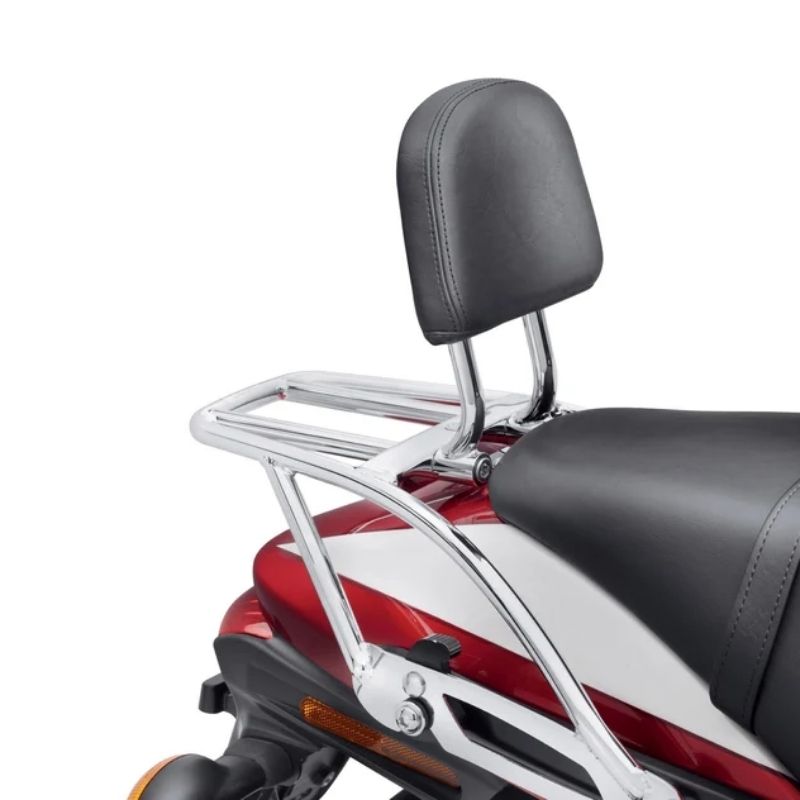 Sissy Bar Upright