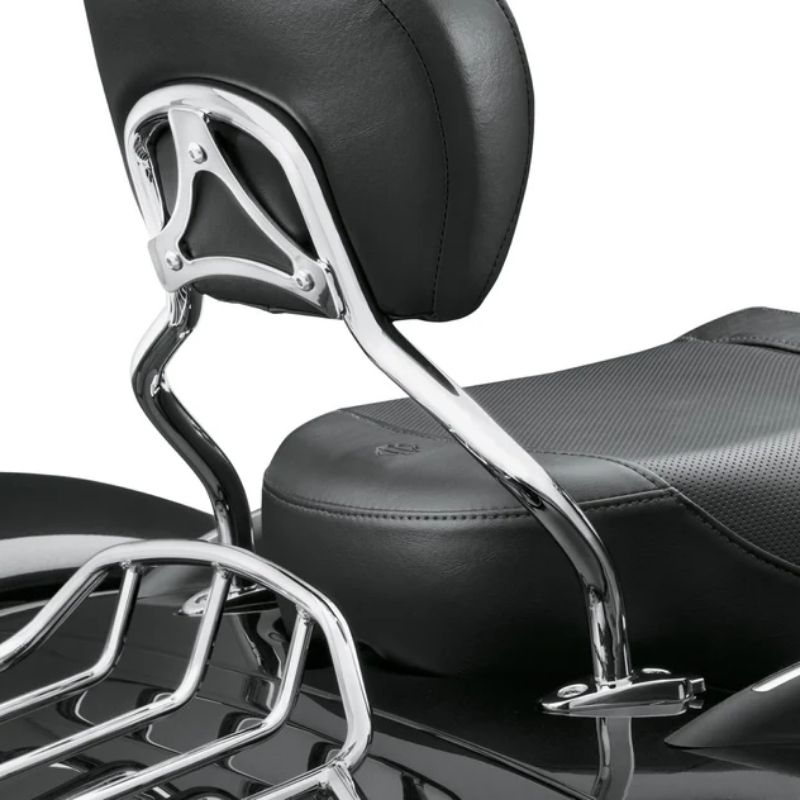Quick-Release Sissy Bar Upright