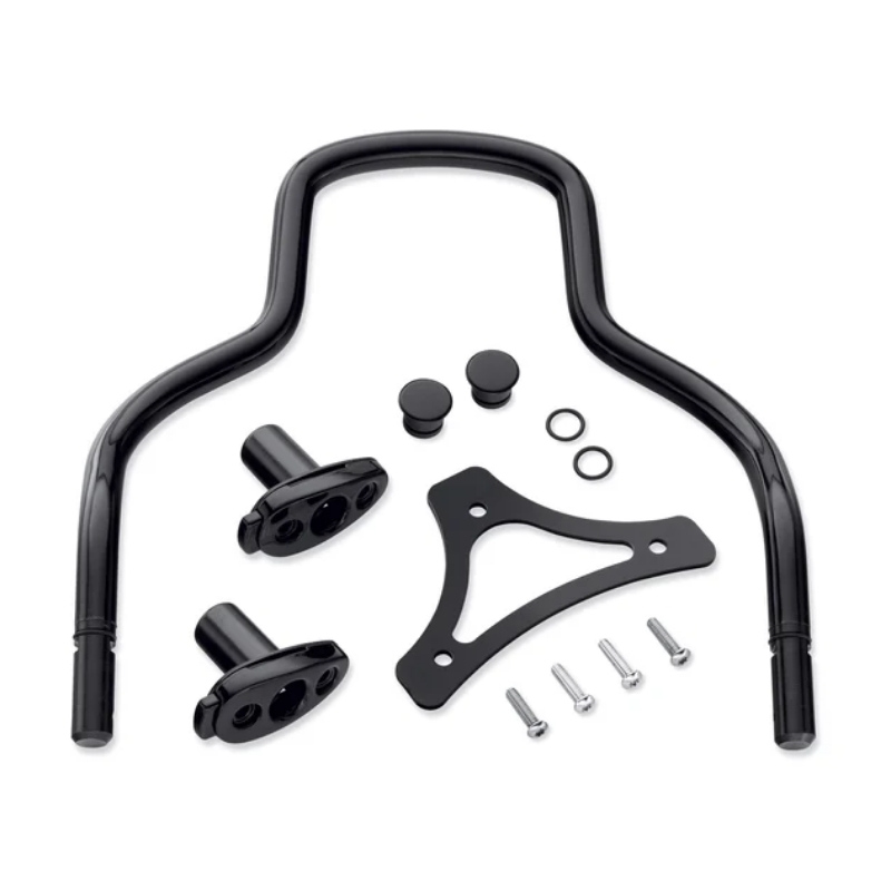 Quick-Release Sissy Bar Upright