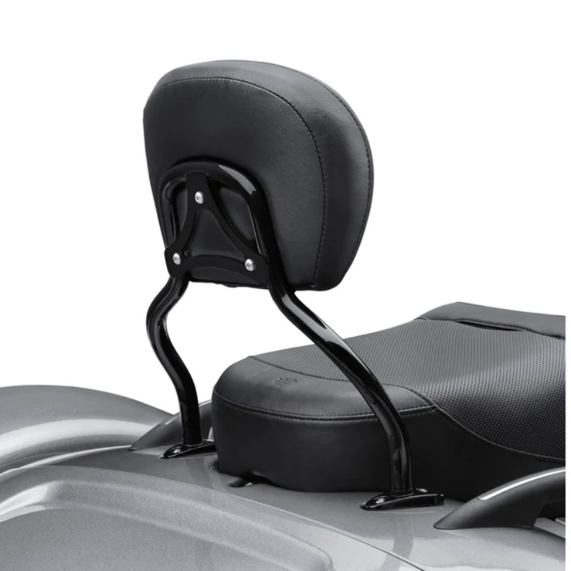 Quick-Release Sissy Bar Upright