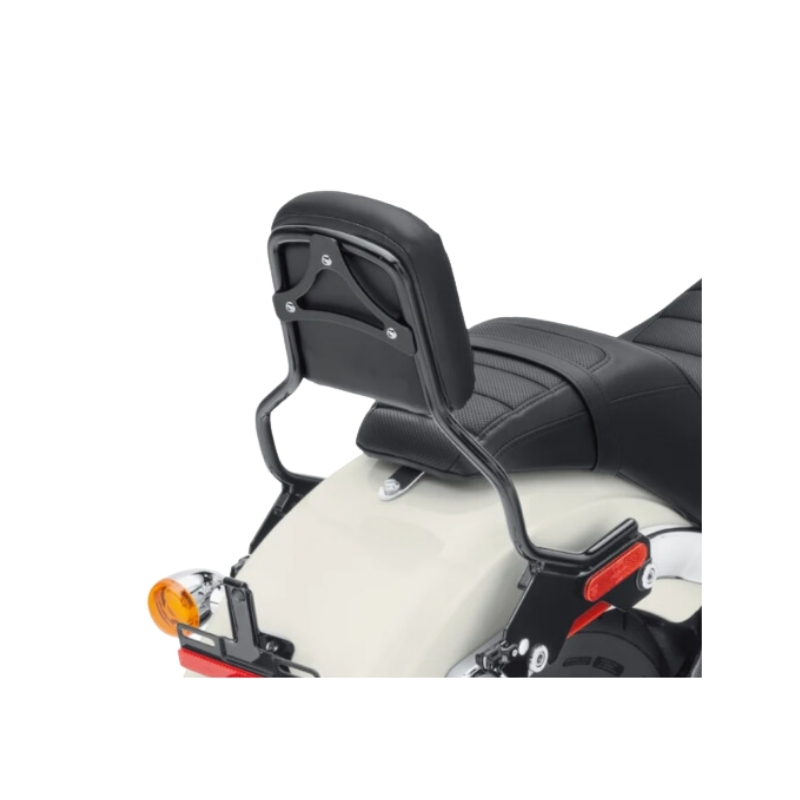 HoldFast Sissy Bar Upright - Standard Height