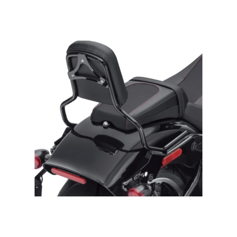 HoldFast Sissy Bar Upright - Standard Height