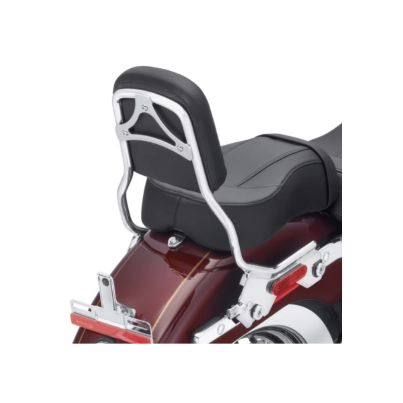 HoldFast Sissy Bar Upright - Standard Height