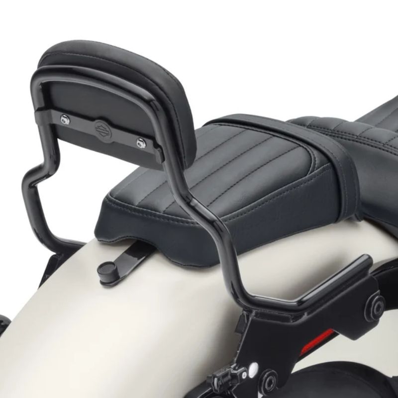 HoldFast Sissy Bar Upright - Short