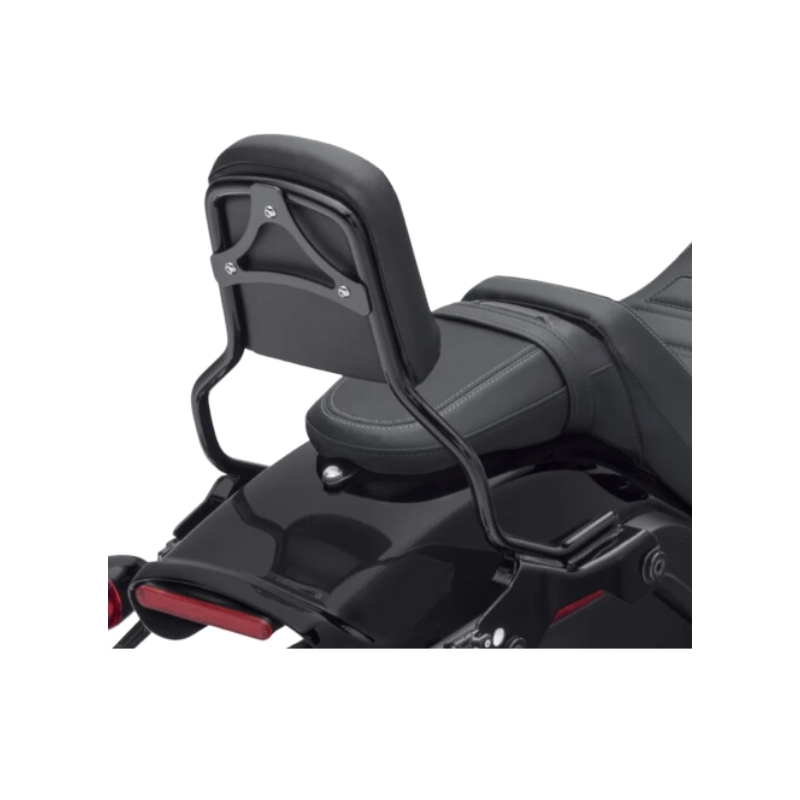 HoldFast Sissy Bar Upright - Standard Height