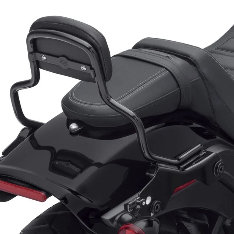 HoldFast Sissy Bar Upright - Short