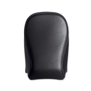 Passenger Pillion - ’16 Forty-Eight Style
