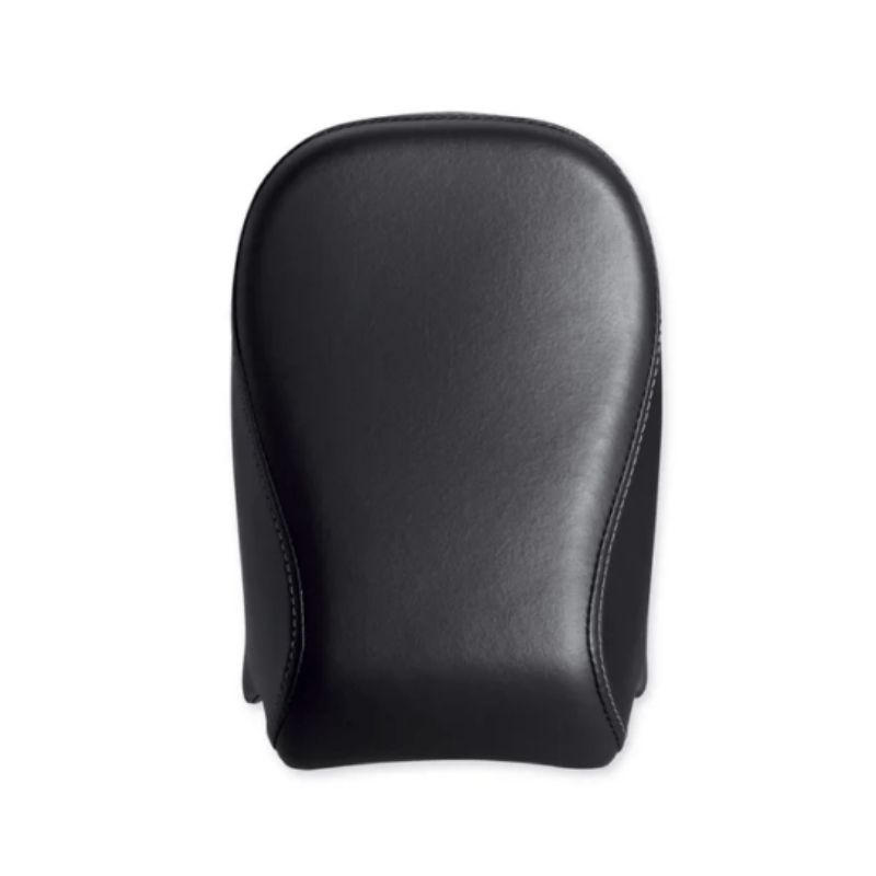 Passenger Pillion - ’16 Forty-Eight Style