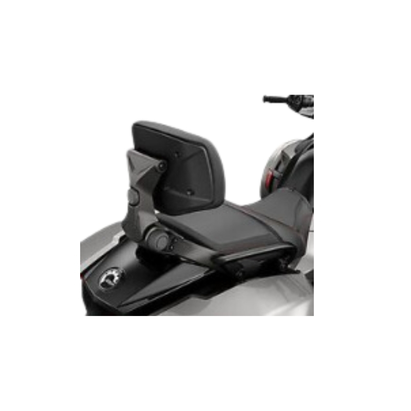 Short Rail Sissy Bar Upright
