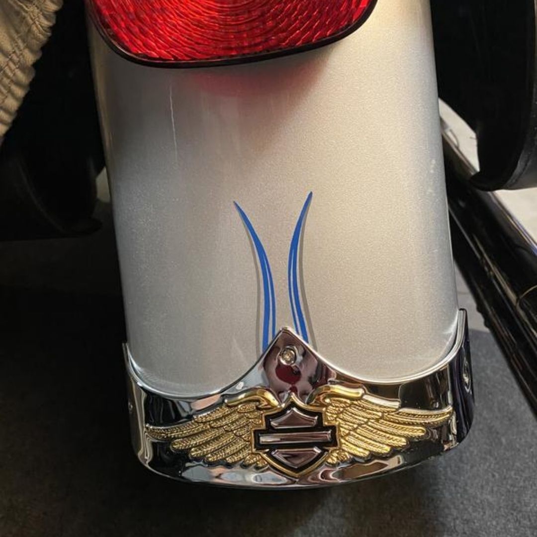 Eagle Wing Fender Trim
