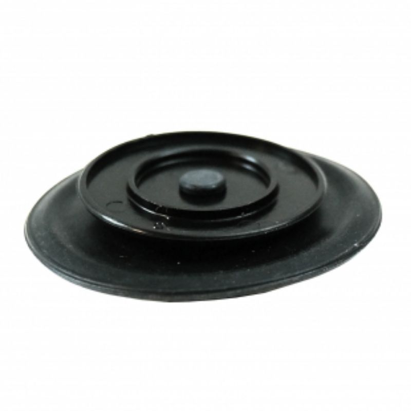 Diaphragm Service Kit Fuel Valve