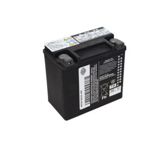 AGM Original Equipment Battery