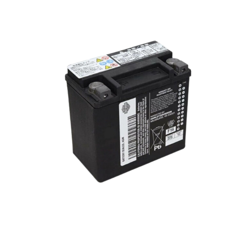 AGM Original Equipment Battery
