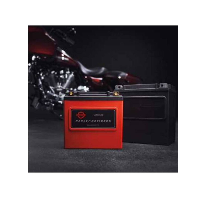 Lithium LiFe 8Ah Battery