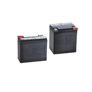 AGM Original Equipment Battery
