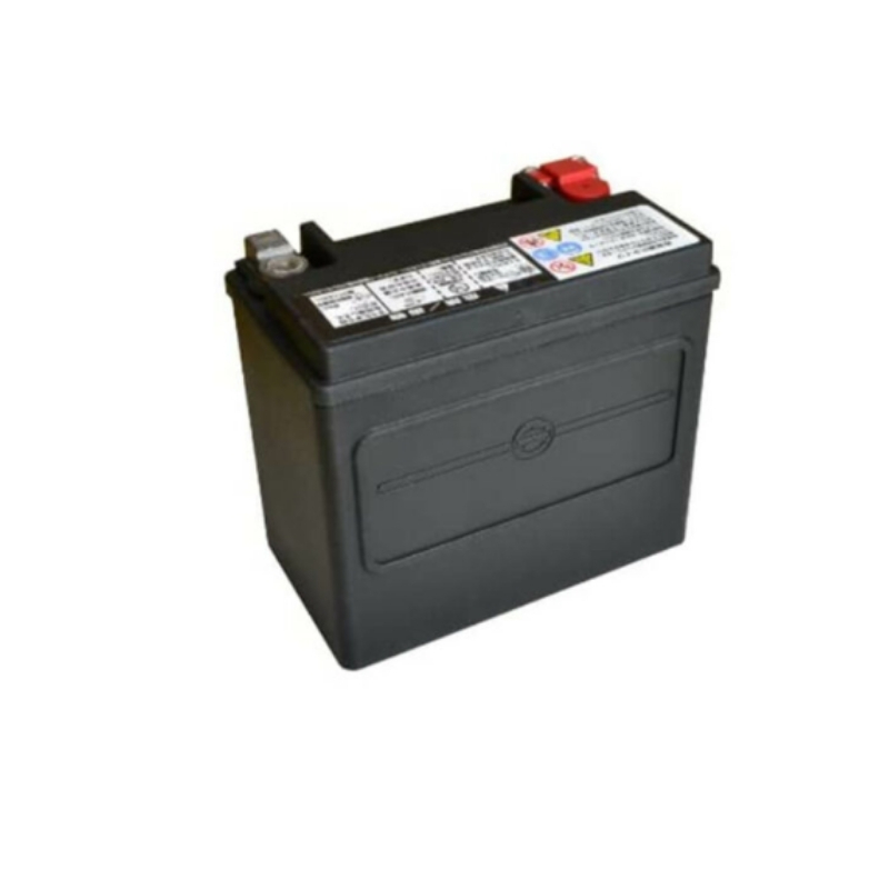 AGM Original Battery – 20Ah