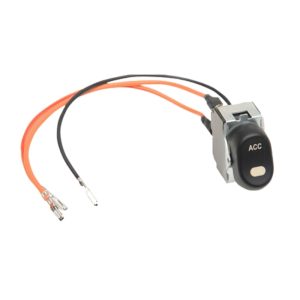 Accessory Switch