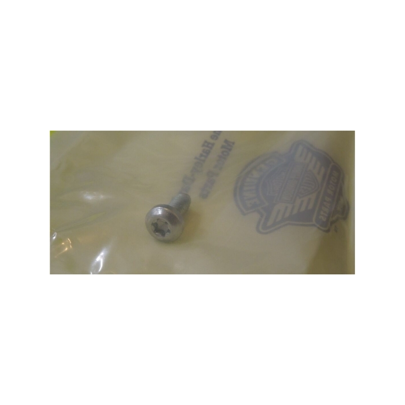 Torx® Pan SEMS screw