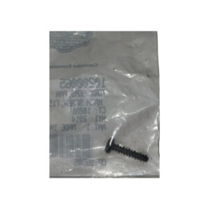 Torx Sems Pan Machine T15 Screw