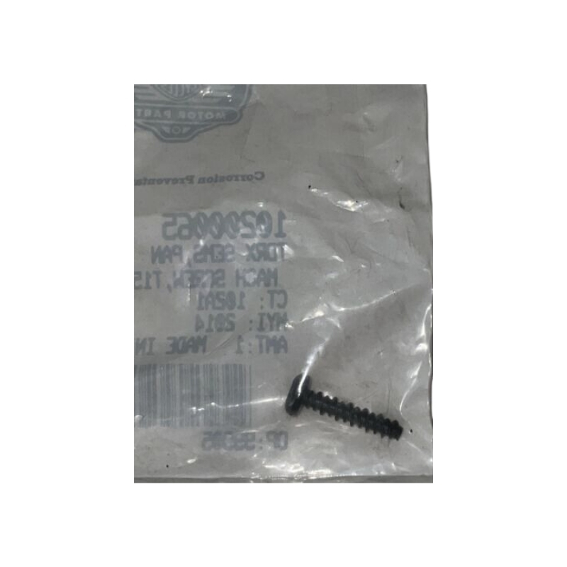Torx Sems Pan Machine T15 Screw Torx Sems Pan Machine T15 Screw