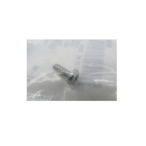 Pan Head Torx Screw