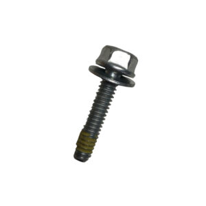 Screw