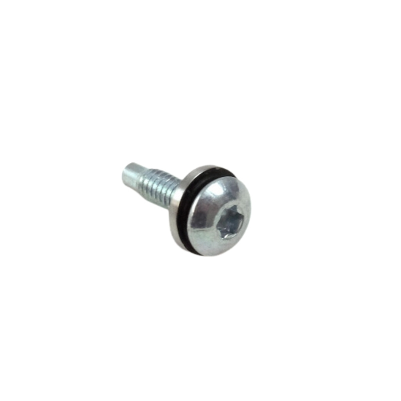 Screw Button Head With Seal Washer