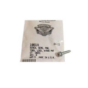 Sems Pan Torx Lock With Dog Screw